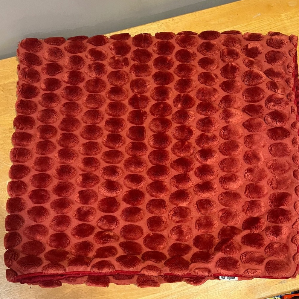 Pier 1 Imports Throw Blanket 50x50 Velvet Dots Textured 3d Decorative
